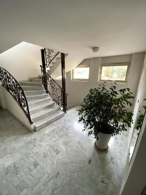 Logement Cosy, Situe Entre Ciel Et Mer 旺斯 外观 照片